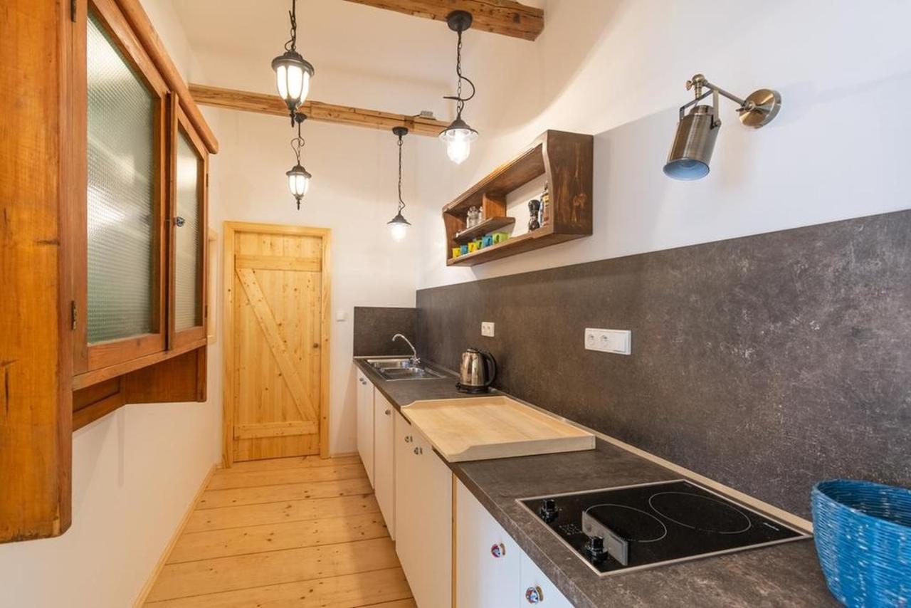 Apartment Sirius G In Center Of Cb Чеське Будєйовіце Екстер'єр фото